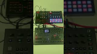 Hydrasynth & Analog Four Experiments