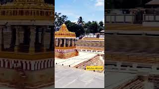 tirumala tirupati || pushkarini || #shorts #shortvideo #tirupati