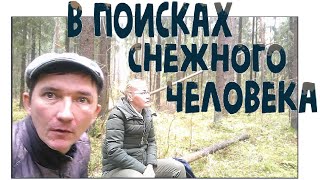 В поисках снежного человека | лес где были найдены следы и маркеры йети |