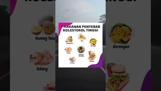 7 MAKANAN PENYEBAB KOLESTEROL TINGGI