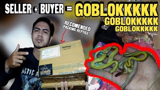 BUYER + SELLER SAMA² GOBLOKKK WAJIB TONTON INI ....❗❗❗Colubridworld