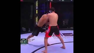 Great knockout by khamzat cheimaev ☝️ #mma #ufc #shorts