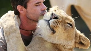 Tiger, Lion And Cheetah Cuddling With Humans - A Big Cats Compilation 2016