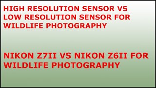 High resolution sensor vs low resolution sensor for wildlife photography/ Nikon Z6 II VS Nikon Z7 II