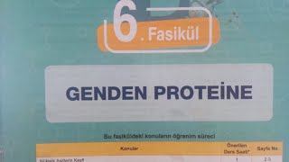 Testokulu AYT Biyoloji konu anlatım föyü-Nükleik asitler-1