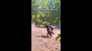 Horse fails and Fall (4)