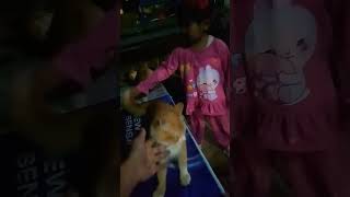 KAKAK HASNA BERSAMA KUCING WARNA OREN YANG LUCU