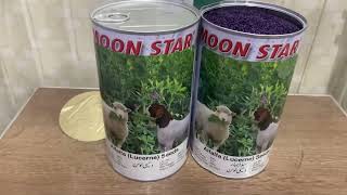 Best and pure alfalfa desi Lucerne Seed of Moonstar Seeds ! Weeds Free Seed  www.kissanghar.pk