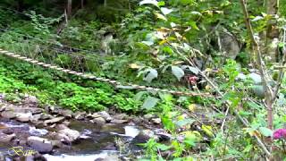 Львівська область Кам'янецький водоспад Lviv region Kamenets waterfall