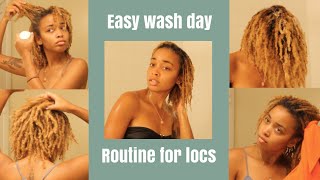 Easy Wash Day Routine for Locs