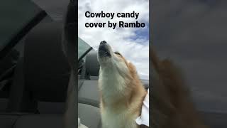 Cowboy candy by C. Crockett covered by Rambo