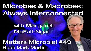 Matters Microbial #49: Microbes and Macrobes:  Always Interconnected