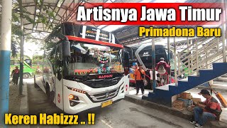 Terbaik Di Kelasnya 🔥 Artis Barunya Bus Jawa Timuran - PO. Bagong