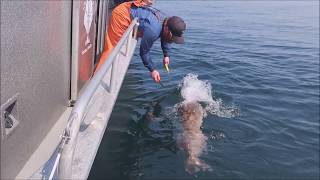 Wicked Halibut 2 ALASKA