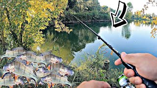 🎣 Cea mai tare partida de pescuit 🎣 Am prins peste la fiecare lanseu 🎣 Cum sa prinzi peste mult 🎣