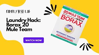 Banish Stains & Odors? Borax Review (Naturally Clean & Fresh!)