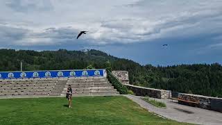 Part 2: Falken Flugschau Burg Sommeregg, Eeeboden, Österreich