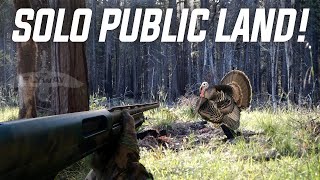 SELF FILMED Solo Turkey HUNT (PUBLIC LAND)