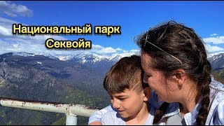 Национальный парк Секвойя: путешествие с детьми, маршруты для новичков