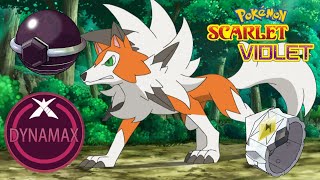 Which Lycanroc Forms Are Stronger ? [Terastallize, Dynamax, Z-Move]