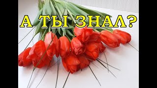 С праздником вас, МИЛЫЕ ДАЧНИЦЫ, с 8 марта!!!🌷🌷🌷