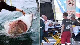 These Recent Shark Attacks Show Why Incidents Are On The Rise