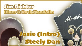 Jim Richter Blues & Rock Mandolin - Josie (intro) by Steely Dan