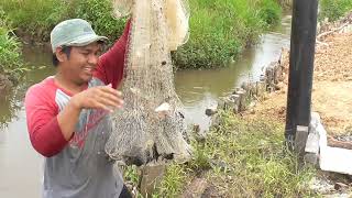 Saat akhir bulan, keuangan menipis, bawa jala ke sungai sudah bisa makan