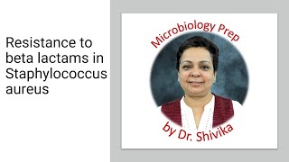 Resistance to beta lactams in Staphylococcus aureus