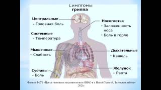 Защитись от гриппа