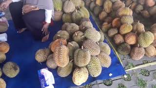 Festival Durian, Bazar Durian Hari Jadi Purworejo