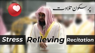 Stress Relieving Tilawat Recitation | Calm and Beautiful | Sheikh Shuraim | Light Upon Light