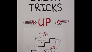 Quick Tricks: Up   Chicken Training