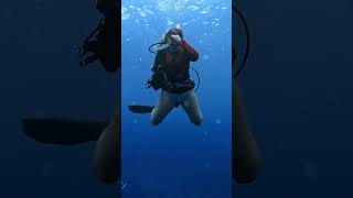 sexy female scuba diver