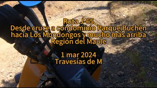 Ruta J.65. Del Cruce a Parque Buchen hasta más arriba de Los Mondongos. Región del Maule. 1 mar 24.