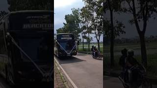 Telolet Basuri Bus Black Tom James Co #bus #travelojol #shorts #yearofyou #busmania #basuri #telolet