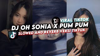 DJ OH SONIA X PUM PUM SOUND Zzeeee (Slow & Reverb) VIRAL TIKTOK 2024