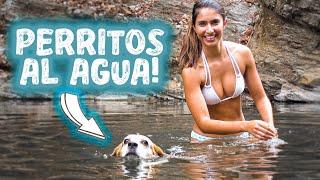 ⛺️+🐶 Río & acampada en la PLAYA con nuestros PERRITOS 😍 Aventuras en COSTA RICA! 🤠