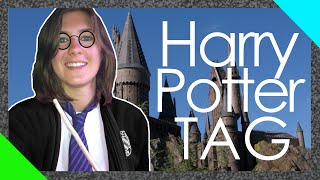 HARRY POTTER TAG mit NicVloggt | Chrisi