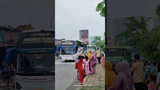 Po garuda mas montana dan gunung harta uhd #busmania #bus #shorts