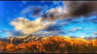 Snow on the Mountains in Tucson | Observing the Bees