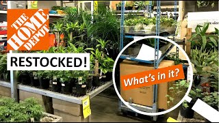 Home Depot Finally RESTOCKED! Two Racks of New Plants and A Secret Box 🤔