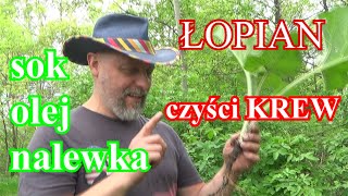 Łopian- staropolskie Dziady. Cisnę sok, robię olej i wódeczki trochę.