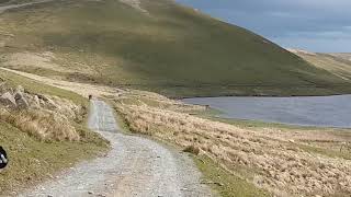 Welsh Back Roads May 2019