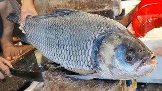 Big Rohu fish cutting  | Amazing fish cutting | BD fish cutting #fish