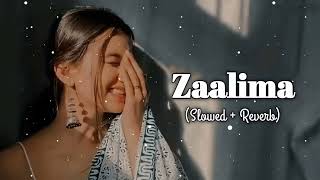 Zaalima ( Slowed & Reverb ) Lofi song | Lofi song