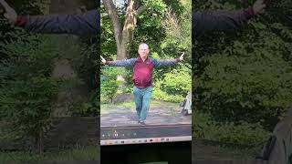 Yang tai chi long boxing: front kick