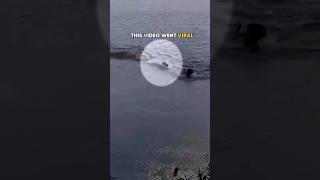 Alligator spots swimmer in lake 🤯