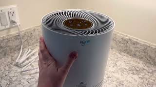 BISSELL MYair Air Purifier Review, The Best Air Purifier for Homes with Kids and Pets!