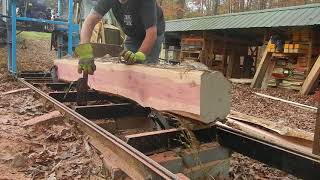 sawing a cedar log